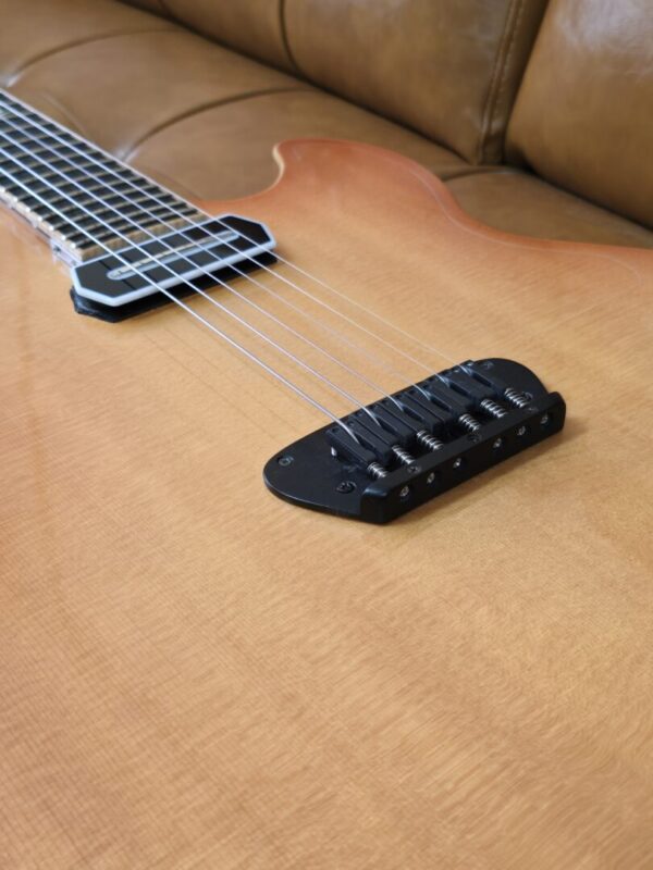 Timtone Blowfish Electric archtop Consignment - Image 7